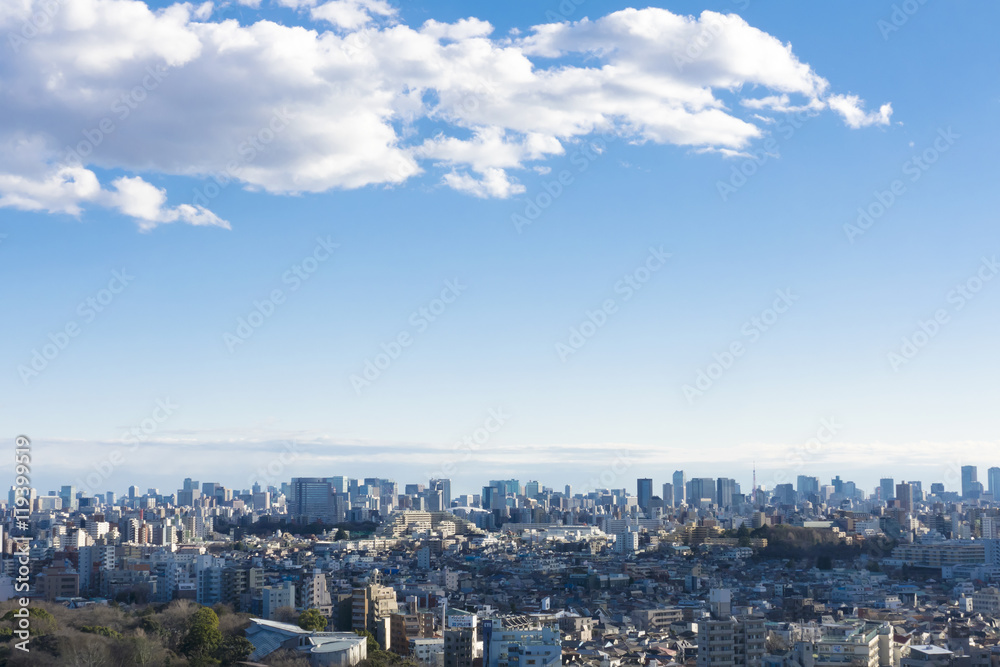 東京都市風景　北区から望む　都心全景　東京タワー　東京ドーム　駒込　水道橋