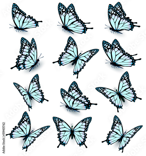 Collection of blue butterflies, flying in different directions.