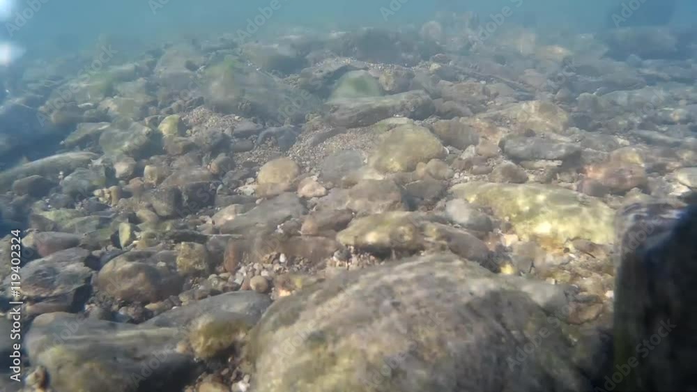 川の水中の流れ 川の水中の流れ