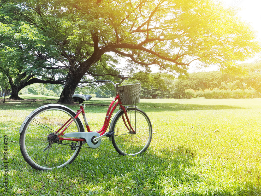 bicycle parking in the park bicycle parking in the park