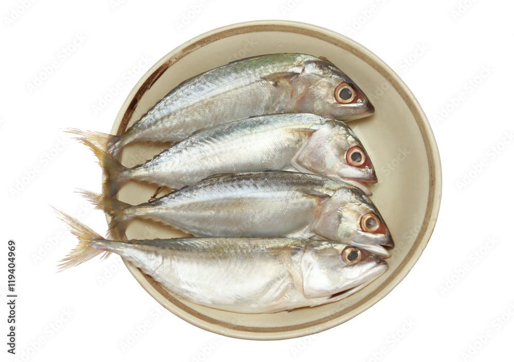 Short-bodied mackerel, Indo-Pacific mackerel (Rastrelliger brachysoma) on dish isolate on white background Short-bodied mackerel, Indo-Pacific mackerel (Rastrelliger brachysoma) on dish isolate on white background