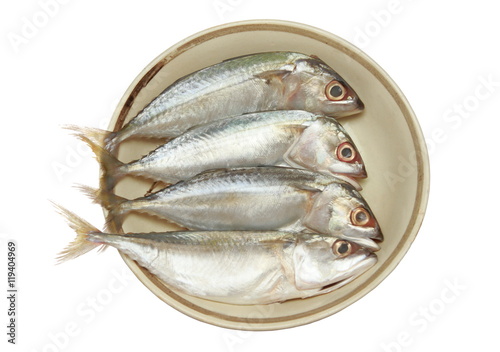 Short-bodied mackerel, Indo-Pacific mackerel (Rastrelliger brachysoma) on dish isolate on white background photo