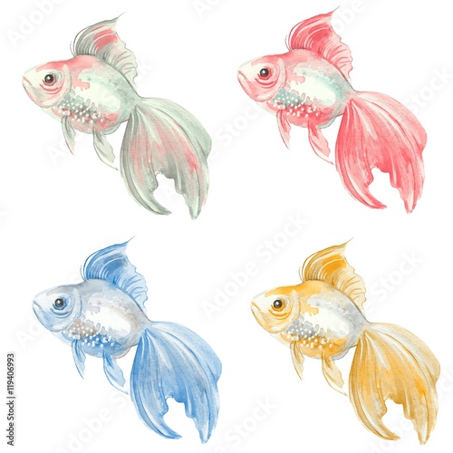 Fish set. Goldfish. Watercolor painting.  © Gribanessa