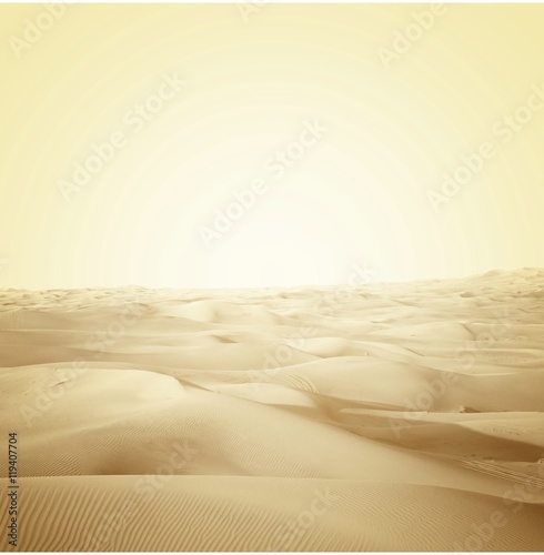 landscape  dunes in the desert 