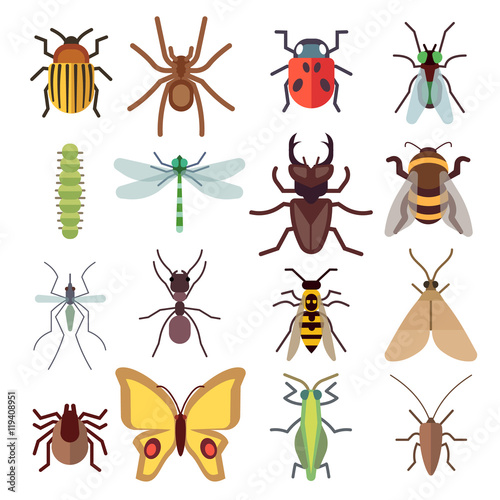 Insect vector flat icons isolated on white background © MicroOne