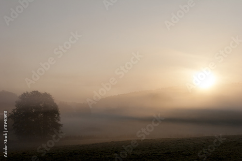 Landscape in the Mist