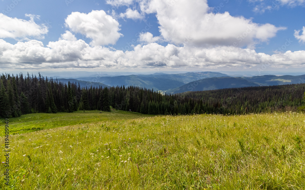 Obraz premium Beautiful view of the Alpine meados at Sun Peaks