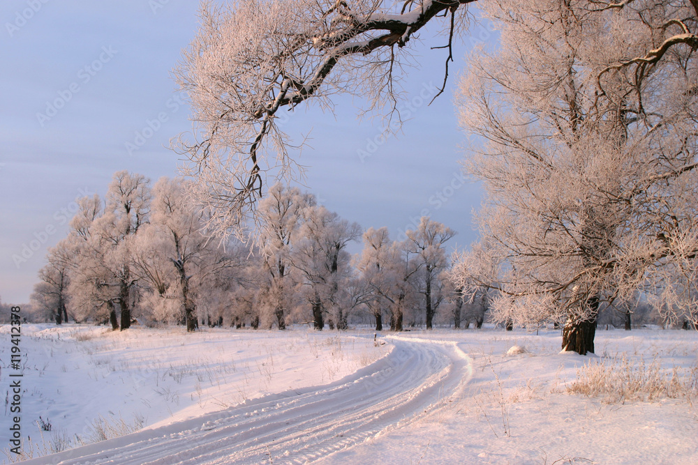 Obraz premium winter day