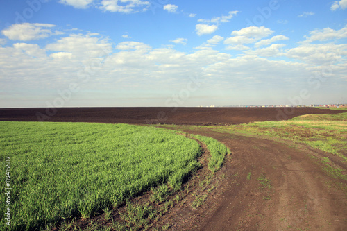 dirt road in a field