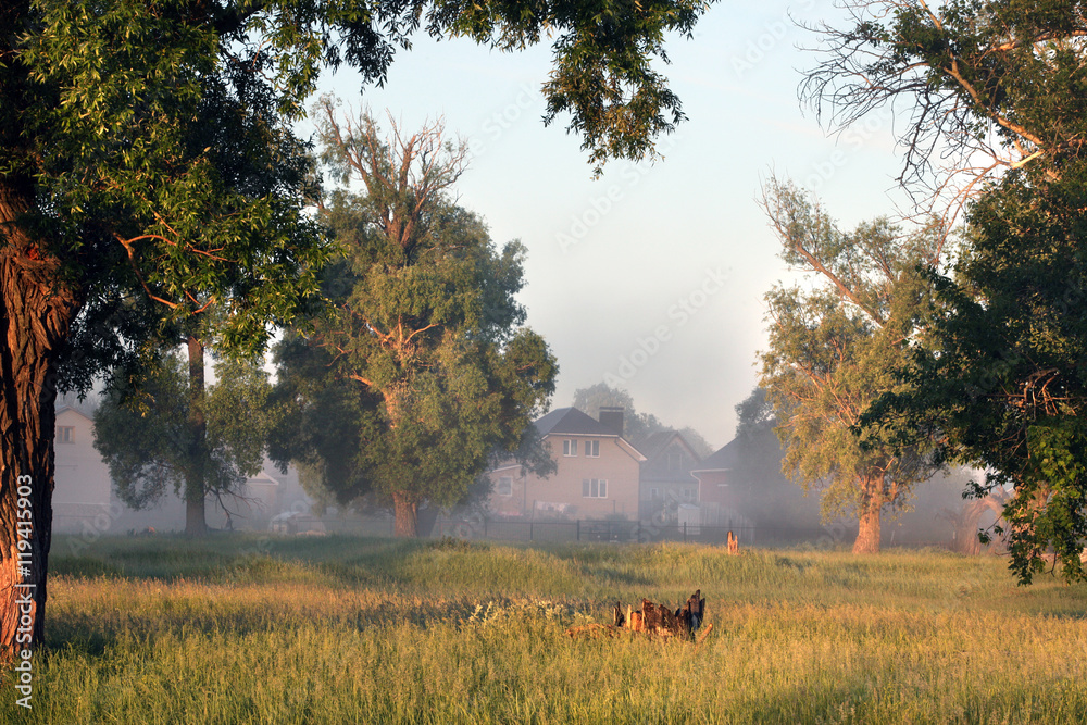 delightful dawn in oak delightful dawn in oak