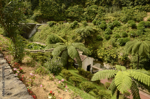 Ribeira dos Caldeiroes (Sao Miguel) photo