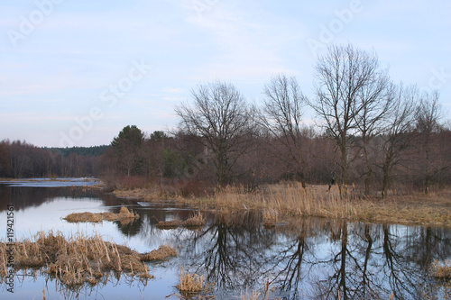 spring landscape