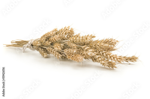 spikelets of wheat stacked in sheaf on a white