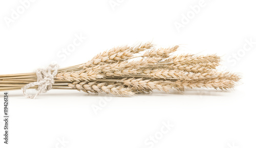 wheat isolated on white background