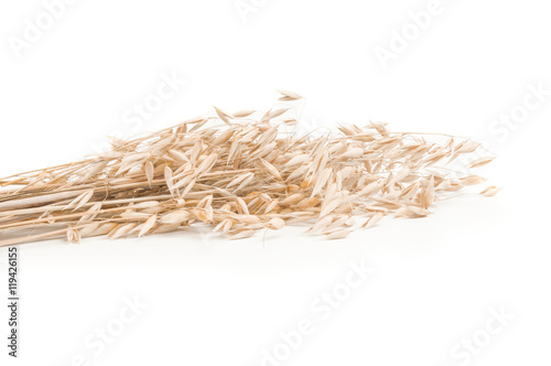 oats spikelets on white background