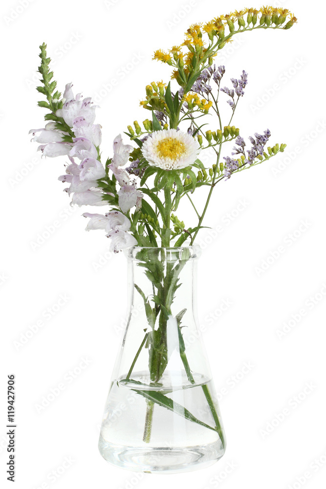 Flower in flask isolated on white background Flower in flask isolated on white background