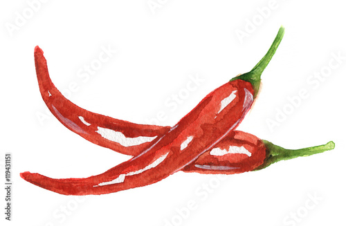 Watercolor chili peppers. Spicy and fresh chili. Healthy and tasty vegetable with vitamins.