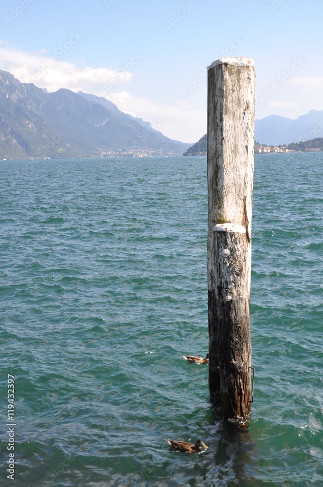 Wooden pole in the water 