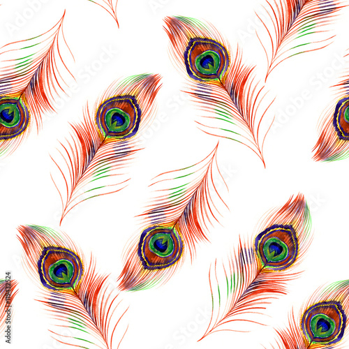 Watercolor peacock feather seamless pattern on white background