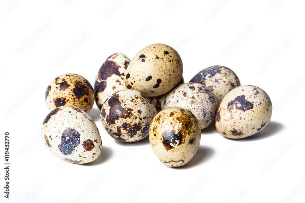 Quail eggs are isolated on a white background Quail eggs are isolated on a white background