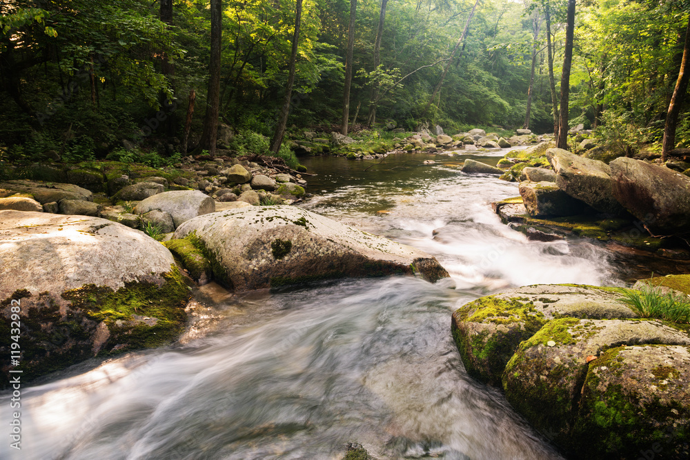 Obraz premium Fast flowing wild river