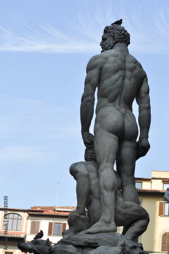 Naklejka premium statua in Piazza della Signoria Firenze