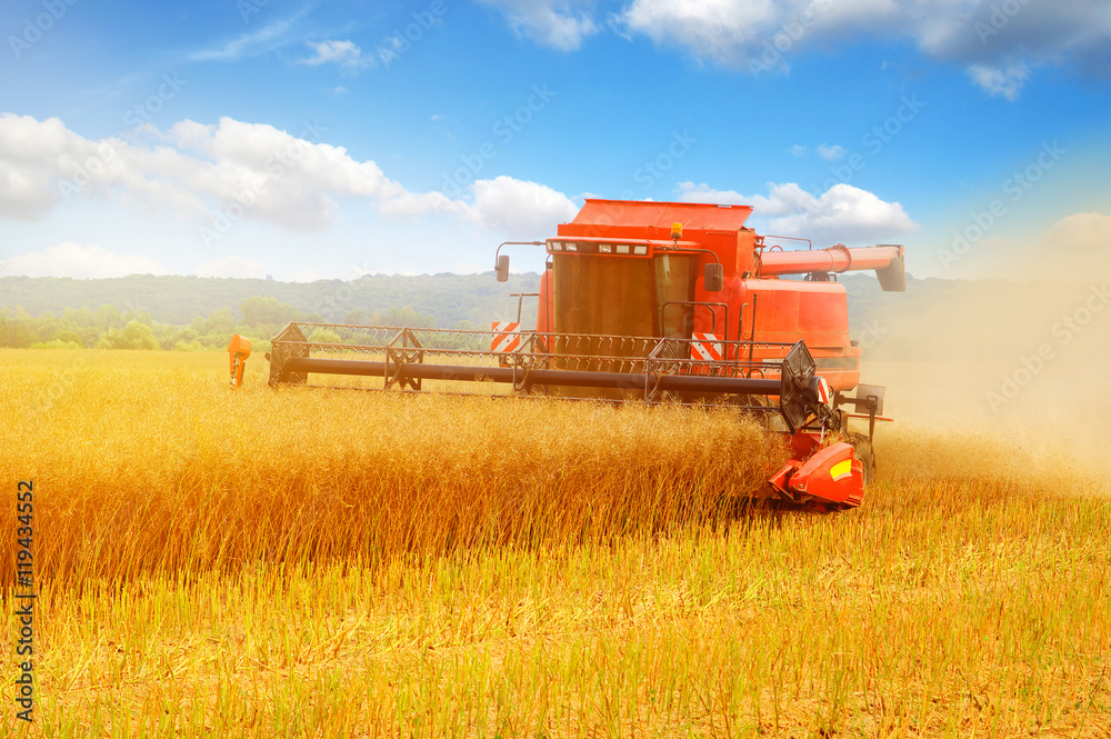 Obraz premium Combine working in field