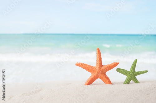 Starfish with sea shell - Best for Web Use