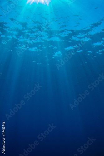 Underwater blue background in sea © Richard Carey