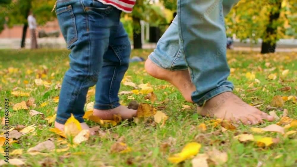 Slow motion low section tracking of bare feet of father and little baby walking on grass and fallen leaves in park on sunny early autumn day Slow motion low section tracking of bare feet of father and little baby walking on grass and fallen leaves in park on sunny early autumn day