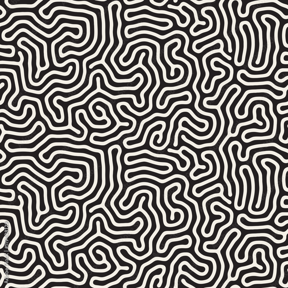 Vector Seamless Black and White Organic Lines Pattern