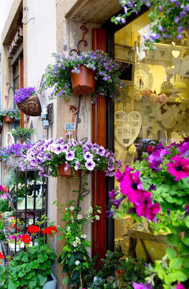 Potted plants in the street of Volterra