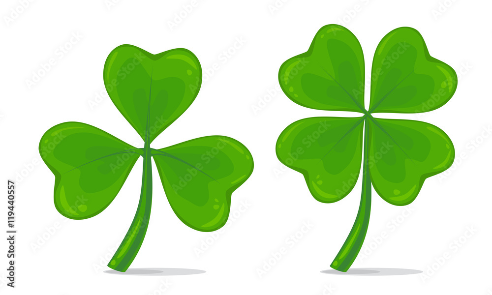 Vector illustration of four-leaf and trifoliate clover isolated on white background Vector illustration of four-leaf and trifoliate clover isolated on white background