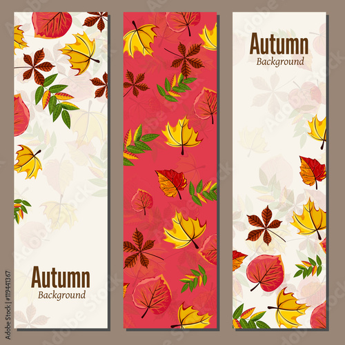Banners set of autumn leaves vector illustration. Background with hand drawn autumn leaves. Design elements. Autumn leaves fall on banner.