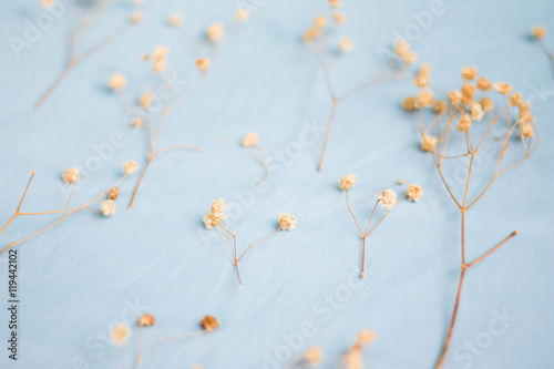 Dry flowers