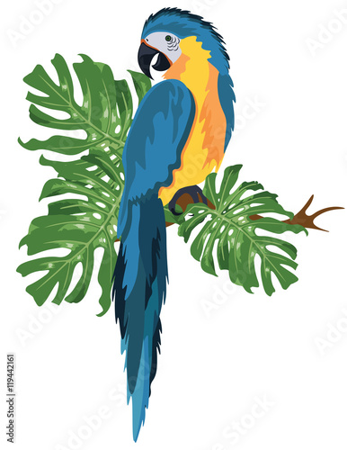 Colorful blue parrot on a palm tree branch Vector