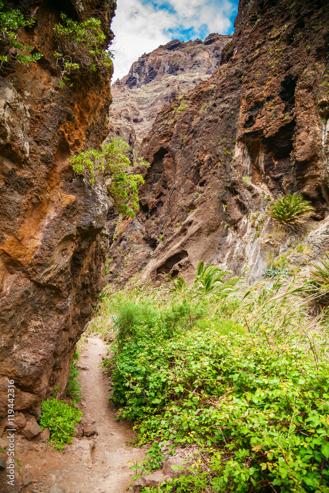 trekking path in famous canyon Masca in Tenerife