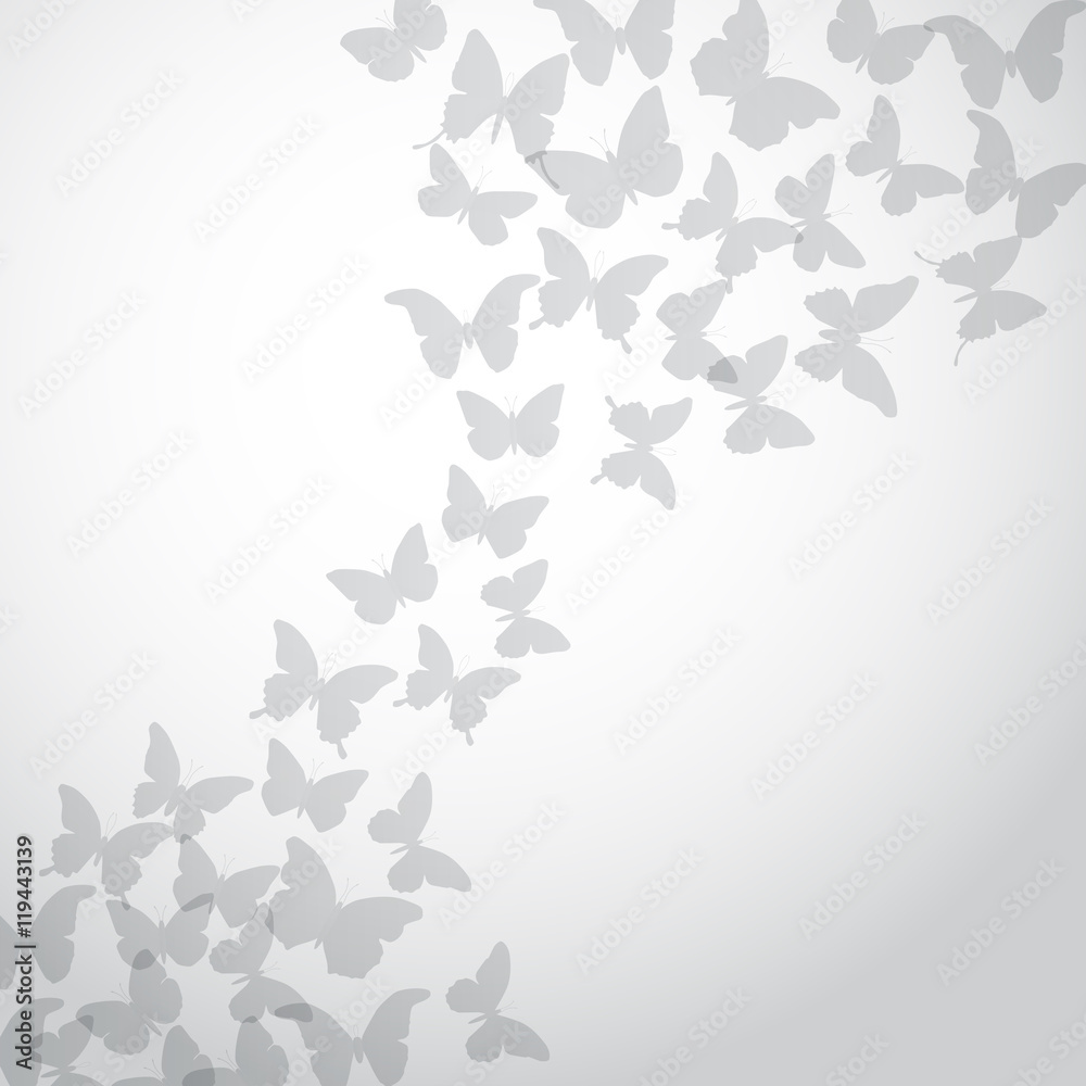 Abstract gray Butterfly Background on white background. Vector Stock Vector  | Adobe Stock