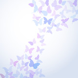 blue card design summer butterflies set on white background. Vector