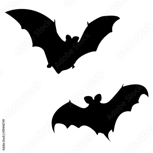 Silhouette of Halloween bat, vector