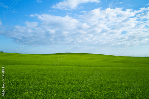 Green Field with blue sky and white clouds