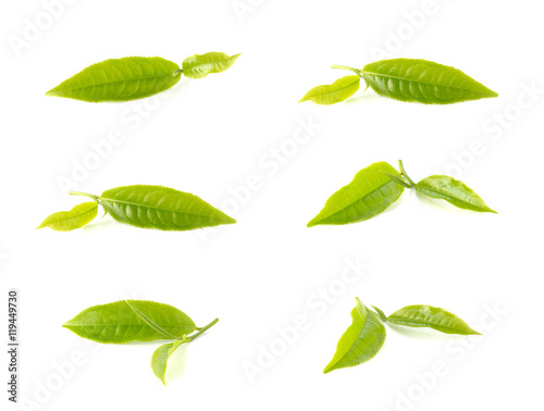 Green tea leaves collection on white background. © sarawutnirothon