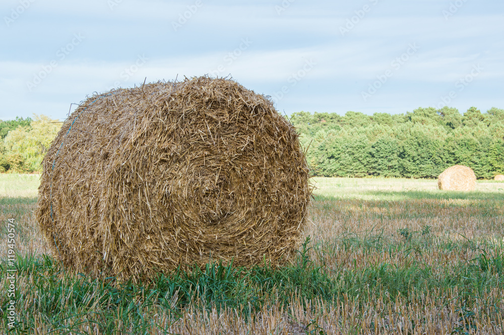 Stack of hay