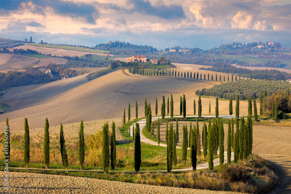 Landscape of Tuscany nature, rural Italy