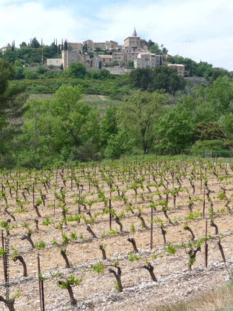 View of hilltop village of Crillon-le-Brave, Provence with vineyard in the foreground
