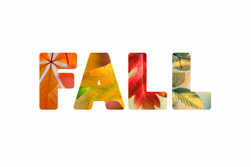 Word Fall with different colorful nature leaves photos