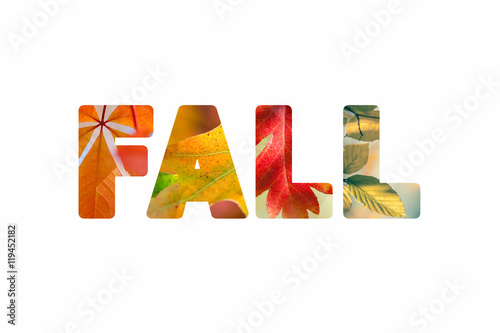 Obraz na płótnie Word Fall with different colorful nature leaves photos w salonie