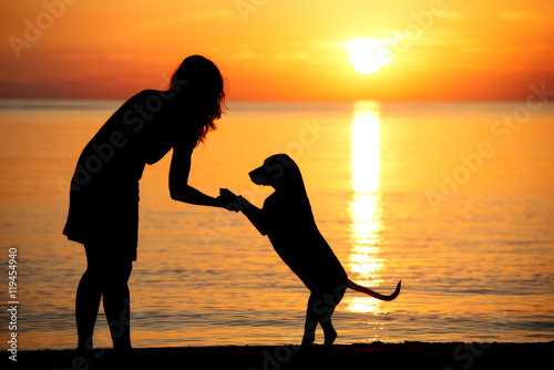 Fototapeta Naklejka Na Ścianę i Meble -  dog and owner silhouettes on a beach at sunset