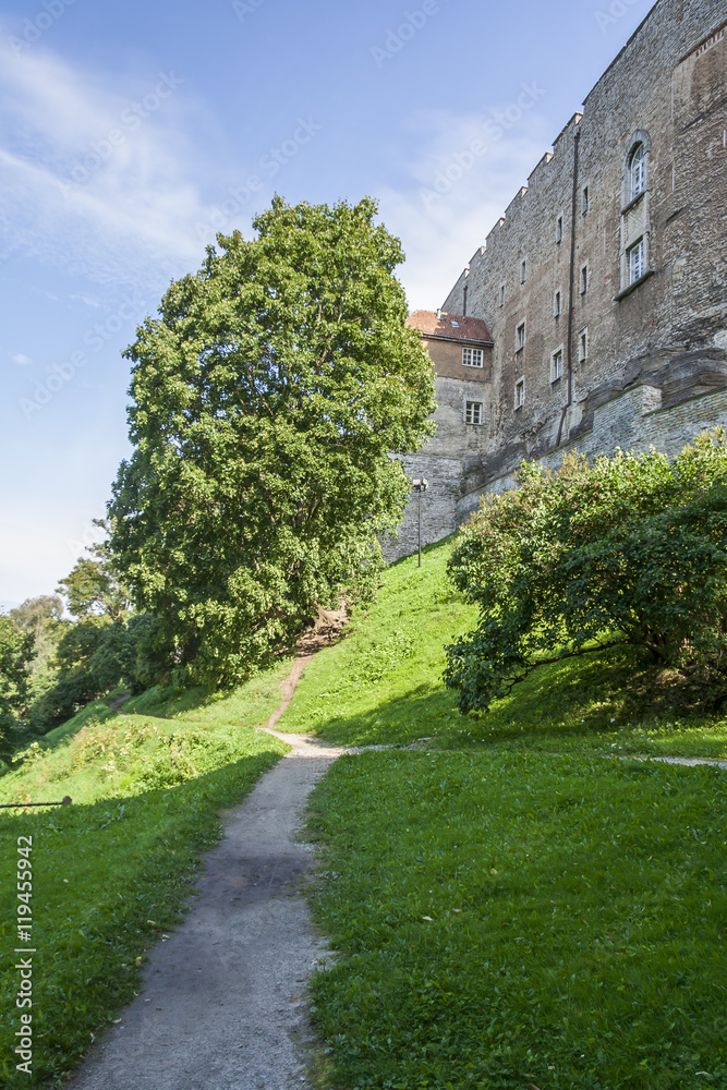 Alee in Tallinn Medieval Town