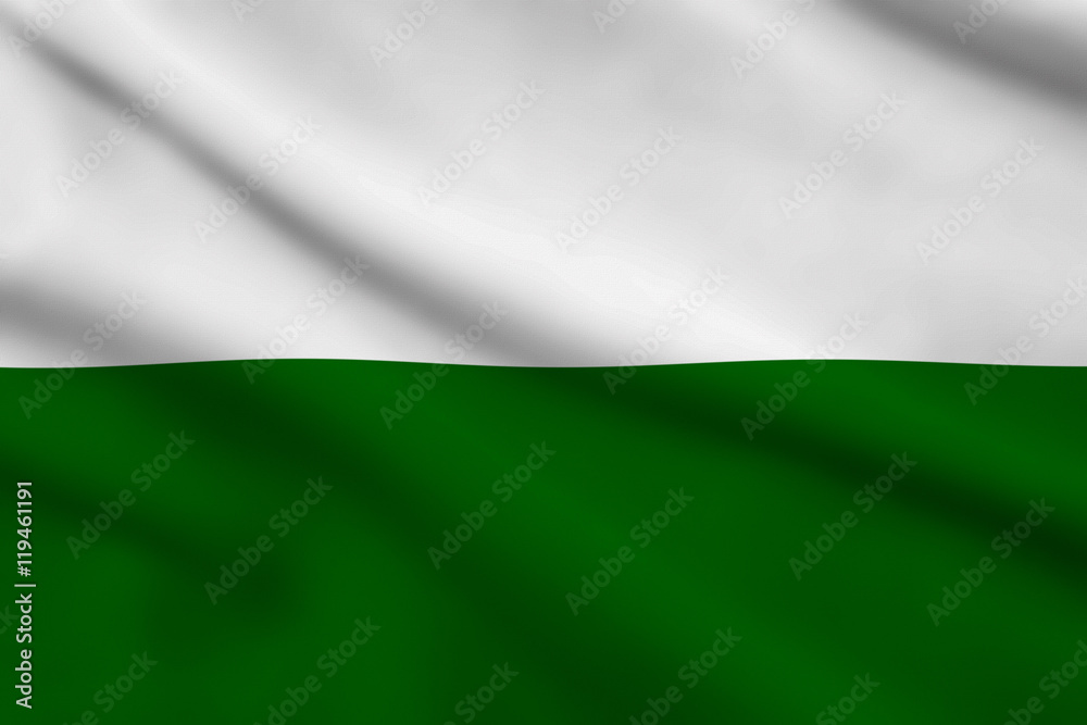 Fototapeta premium Flag of Saxony, Germany OR Styria, Austria